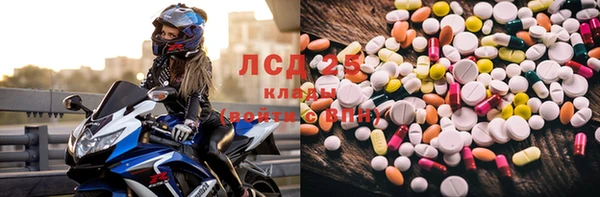 шишки Белоозёрский