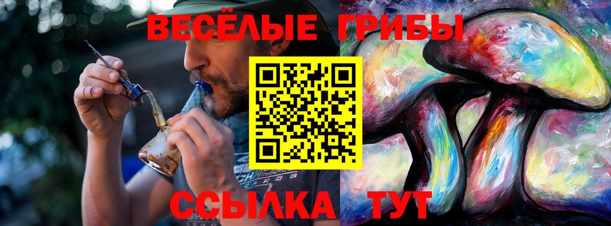 Галлюциногенные грибы GOLDEN TEACHER Калуга